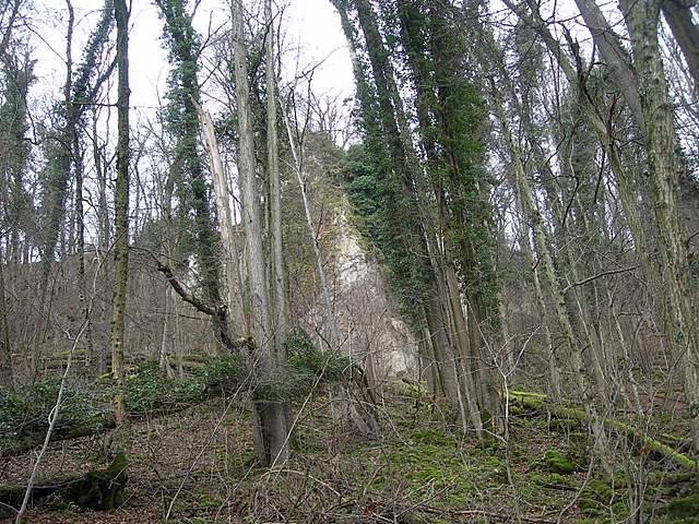 Nel  Regno  della  Jurana